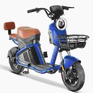 Proizvođač električnih skutera citycoco od 2000 W