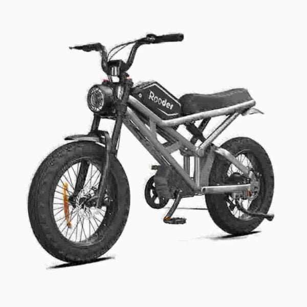 Proizvođač električnih bicikala od 750 W