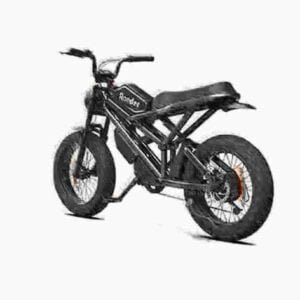 Najbolji proizvođač električnih bicikala Fat Tire