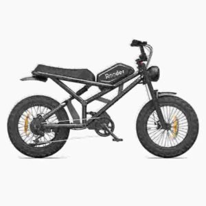 bike proizvođač električnih bicikala
