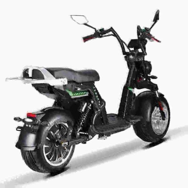 Proizvođač električnih skutera Citycoco 3000w