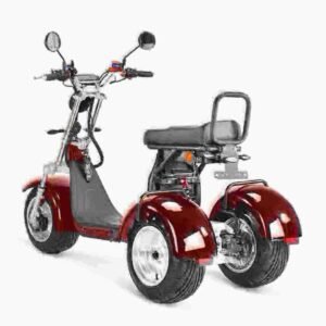 Proizvođač Citycoco Scooter Electrico