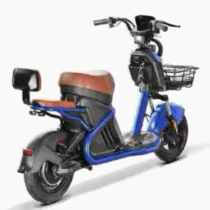 Citycoco Scooter Cijena proizvođača