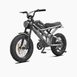 Proizvođač Ebike 1000w