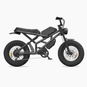 Proizvođač Ebike Fat Tire