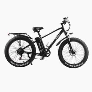 Electr Bike Price proizvođač