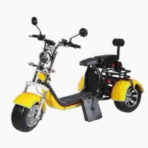 Proizvođač Electric City Coco Scooter