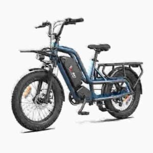 Electric Cycle Fat Tire proizvođač