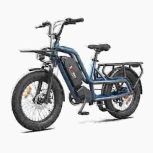 Electric Fat Cycle proizvođač