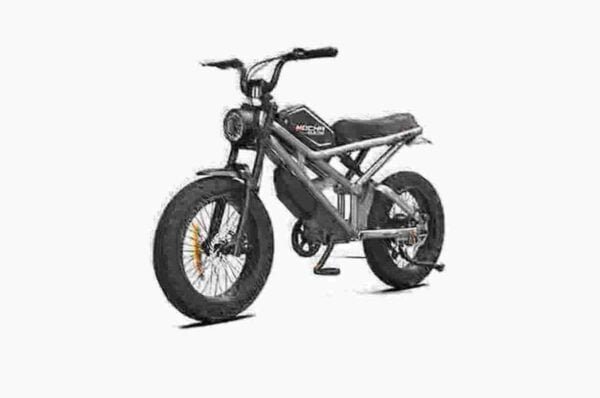 Proizvođač cijena Fat Electric Bike