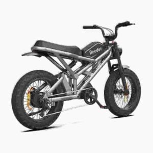 Proizvođač Fat Tire Bike Ebike