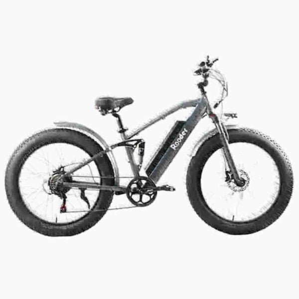 Proizvođač Fat Tire Ebike Sale