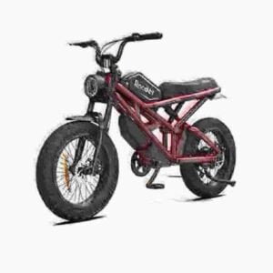 Proizvođač Fat Tire Ebikes