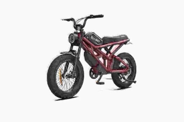 Proizvođač Fat Tire Ebikes