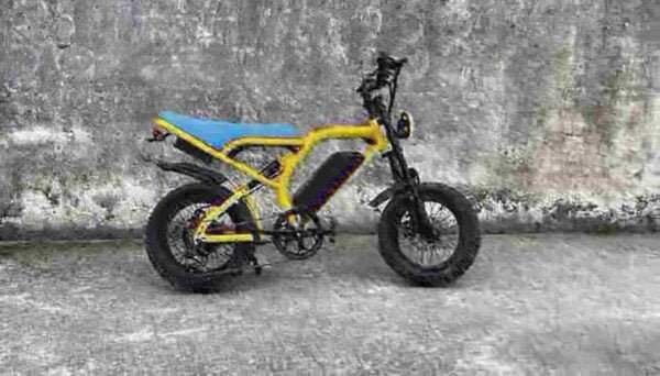 Fat Tire Electric Cycle With Gear proizvođač