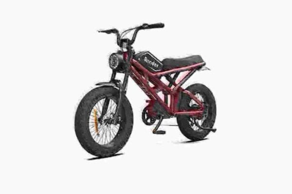 Proizvođač električnih bicikala Road Fat Tire